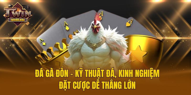 Đá Gà Đòn - Kỹ Thuật Đá, Kinh Nghiệm Đặt Cược Dễ Thắng Lớn