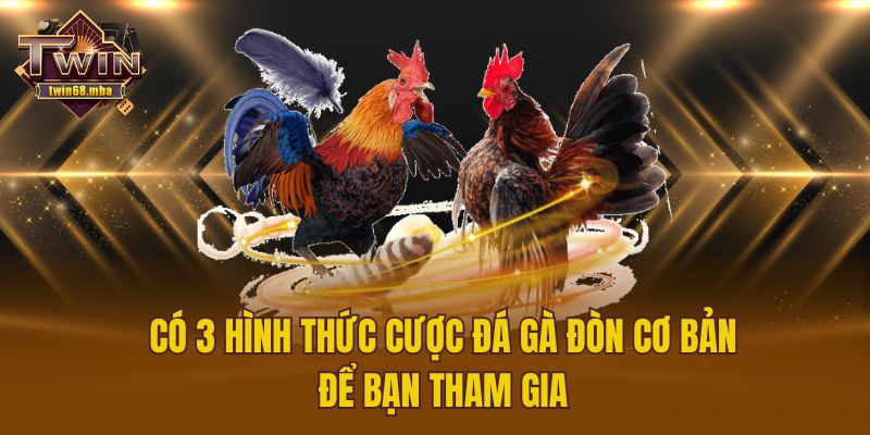 Có 3 hình thức cược đá gà đòn cơ bản để bạn tham gia