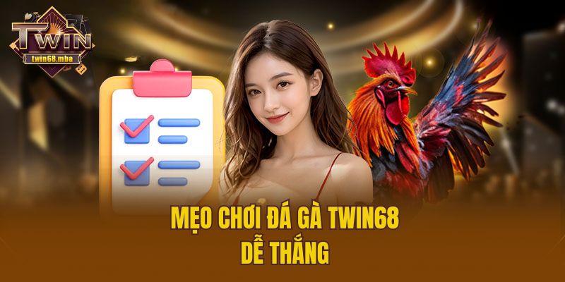 Mẹo chơi đá gà Twin68 dễ thắng 