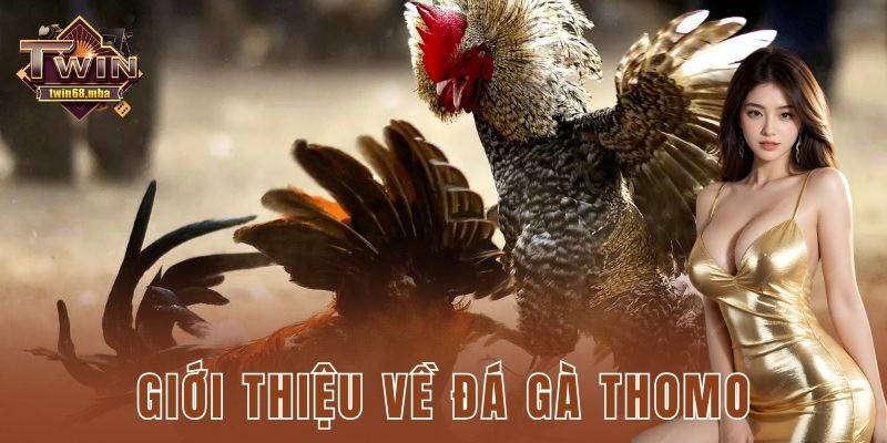 Giới thiệu về đá gà thomo