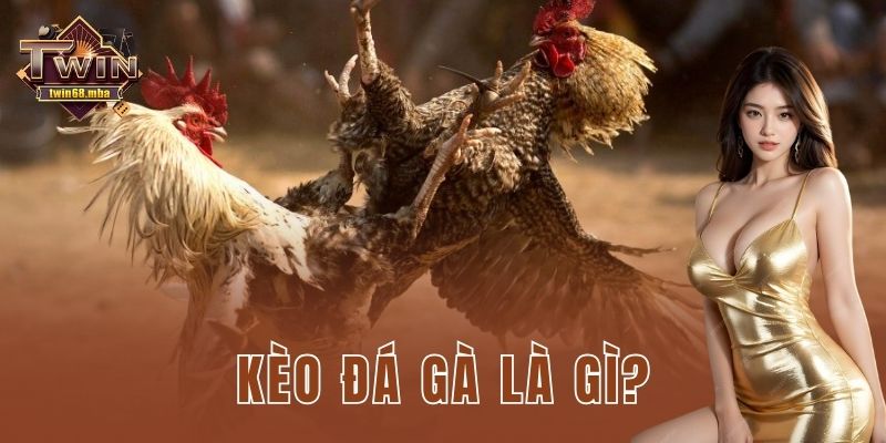Kèo đá gà là gì?