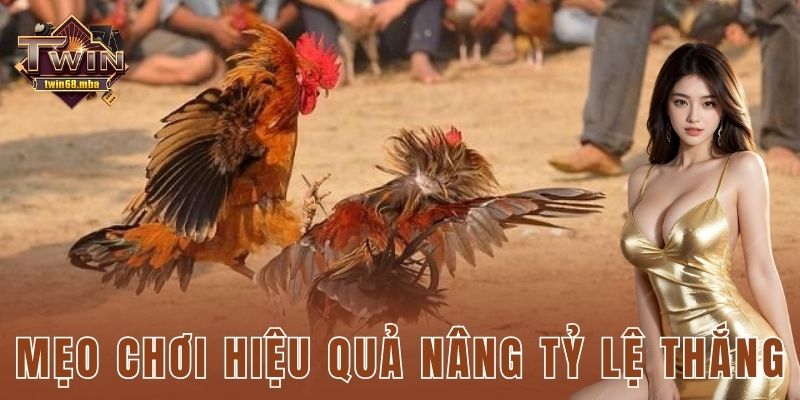 Mẹo chơi hiệu quả nâng tỷ lệ thắng