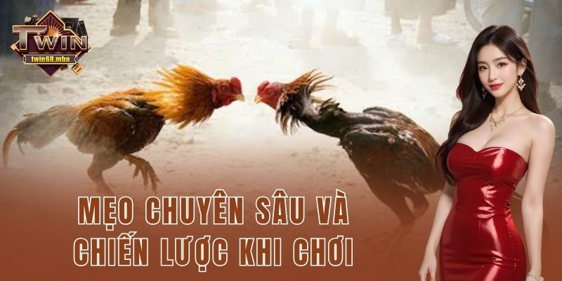 Mẹo chuyên sâu và chiến lược khi chơi