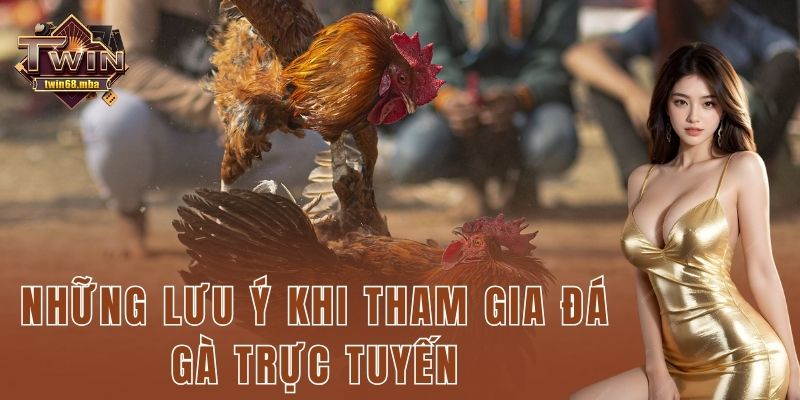 Những lưu ý khi tham gia đá gà trực tuyến