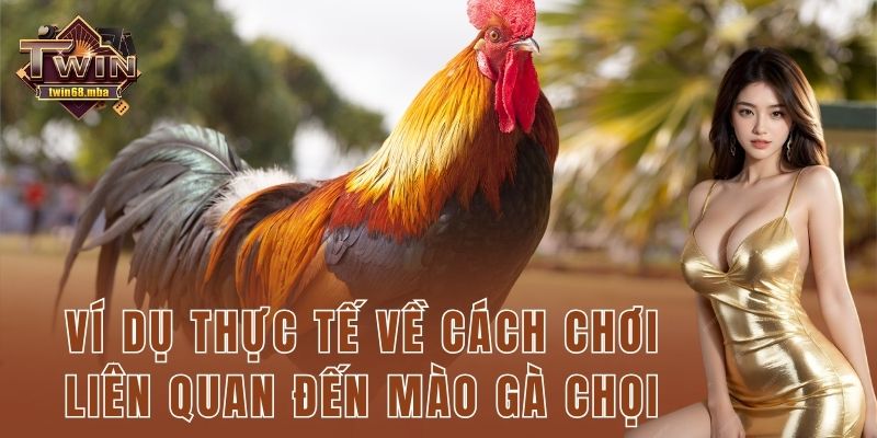 Ví dụ thực tế về cách chơi liên quan đến mào gà chọi